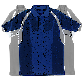 BDGR ADT HOOK POLO