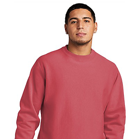 CHMPN ADT 12OZ GRMNT DYED CREW