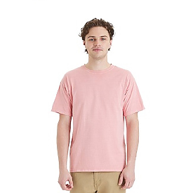 CW ADT 5.5OZ BOTNIC DYED T