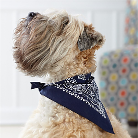 Dog Mannequin – American Life Brands