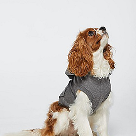 DOGGIE FLEECE HOODIE
