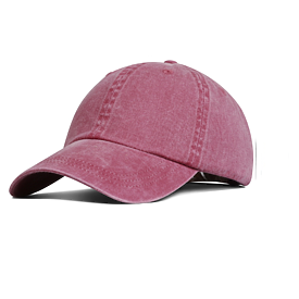 FARENHEIT PIG DYE CAP