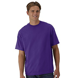 HANES  ADT 7OZ BEEFY STREET T