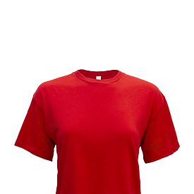 NL LDY IDEAL CROP T