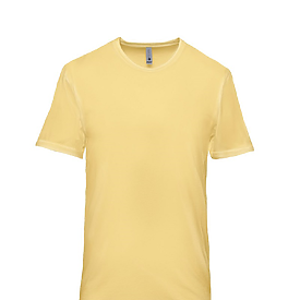 NL ADT SOFTWASH S/S T