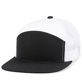 PH 6-PNL ARCH SNAPBK