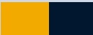 GOLD/ NAVY