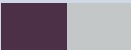 PURPLE/SILVER